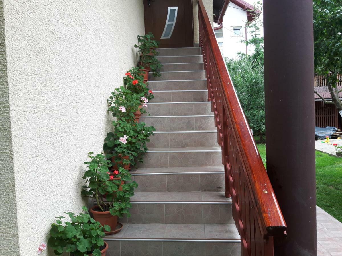 Apartman Petra & Tena Szluin Kültér fotó