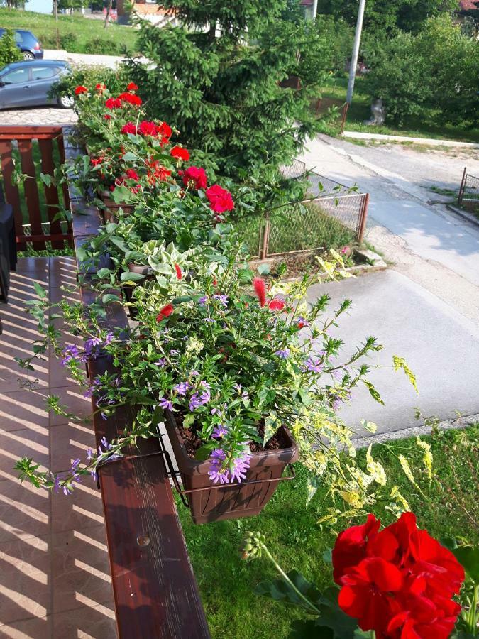 Apartman Petra & Tena Szluin Kültér fotó